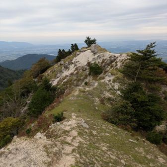 段木山。上の尾根から降りてきたが中々エキサイティングな道だった。