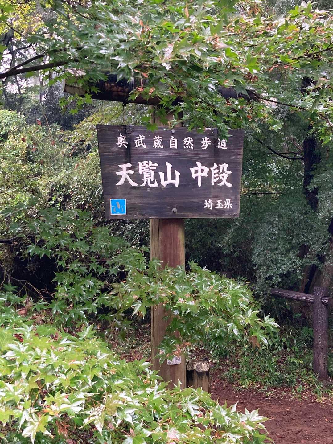少しだけ高い山から、見える世界を変えてみる。これぞ山歩向きの低山・天覧山の写真