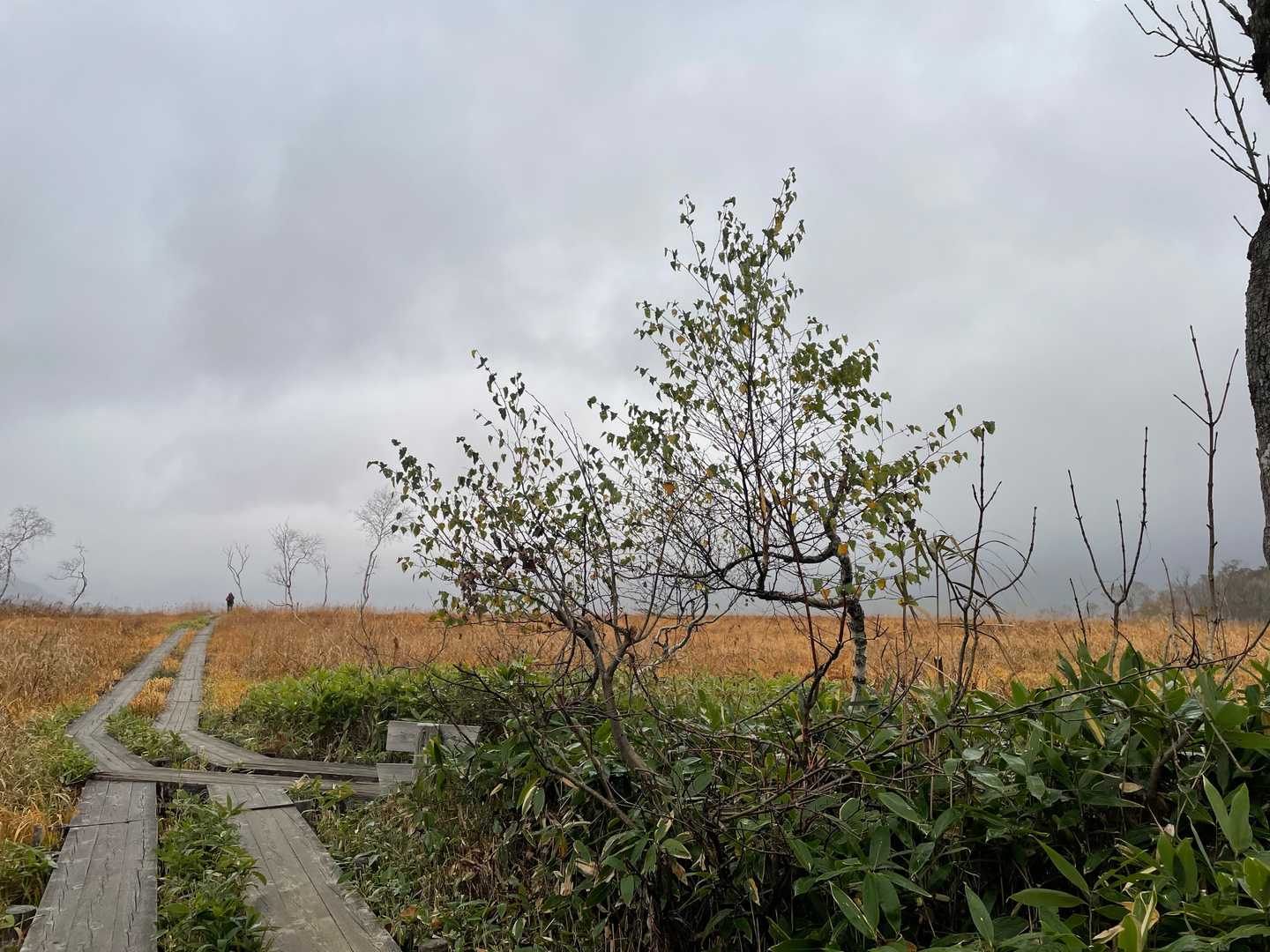 温泉小屋方面の分岐