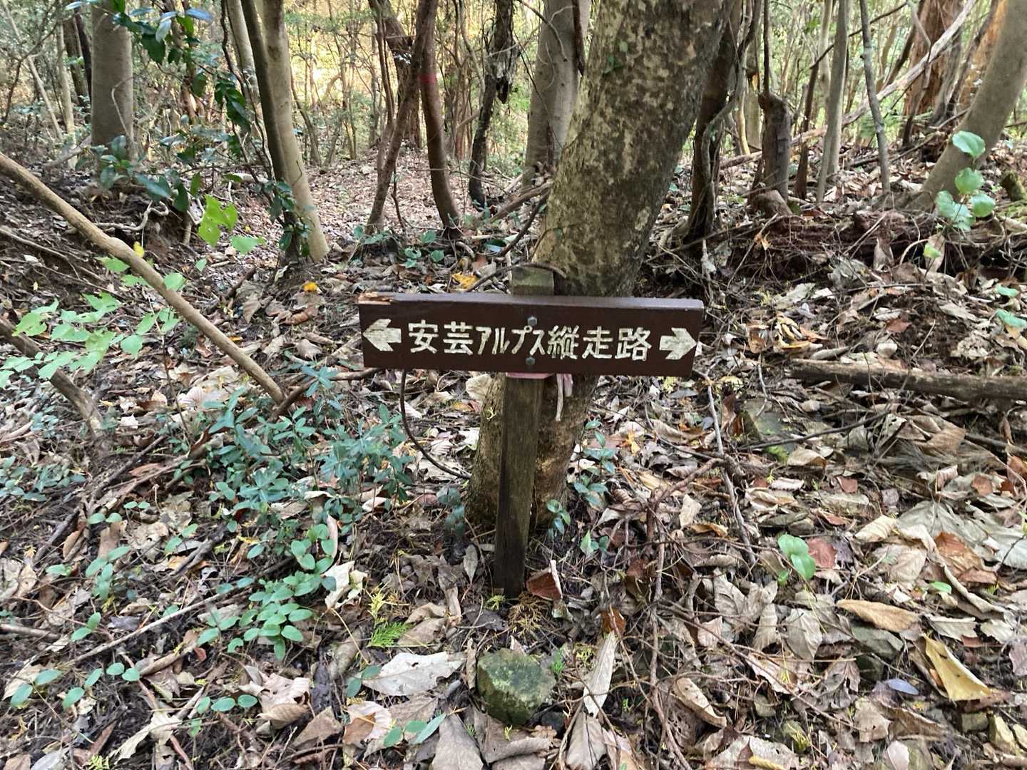安芸アルプス縦走コースの写真
