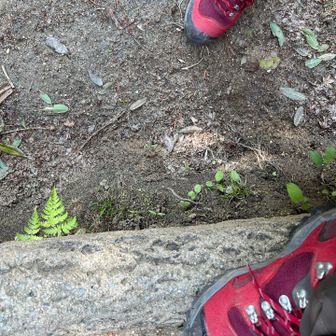 この段差、やべぇ🤣
足がもつれて やべぇ
あ、フットカバーは 暑くて 外しますた笑