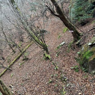 これ見て分かるかな？！
薄らとトレースが浮いてる