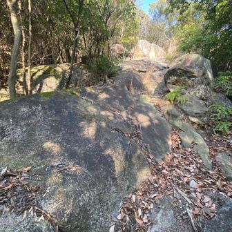 キタキタ　ロッククライム🪨