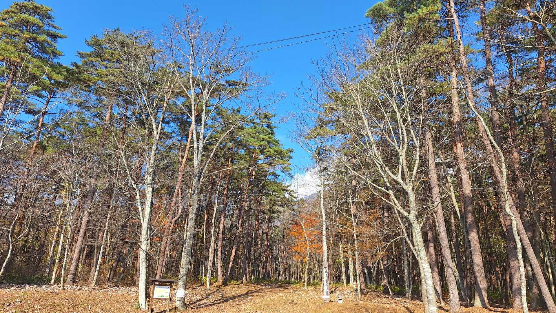 青空
頂上でのコーヒー☕を期待してスタート⤴️