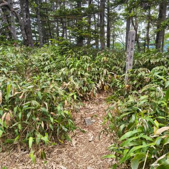 登ってきた道を折り返し