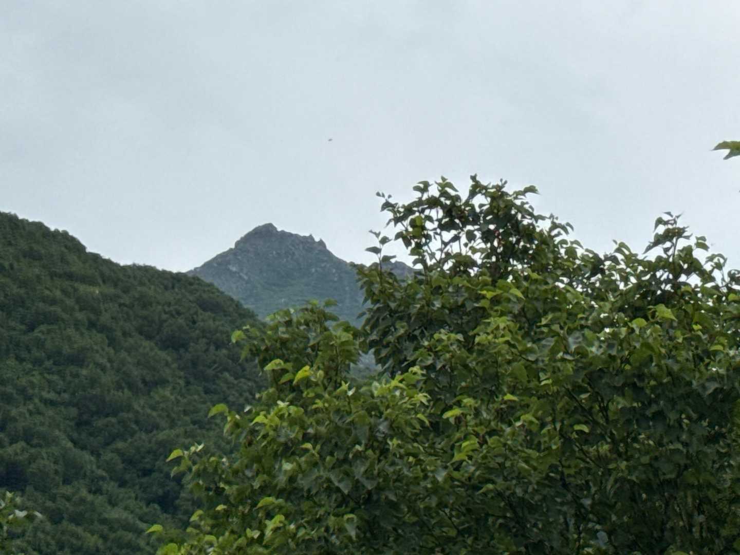 山頂です