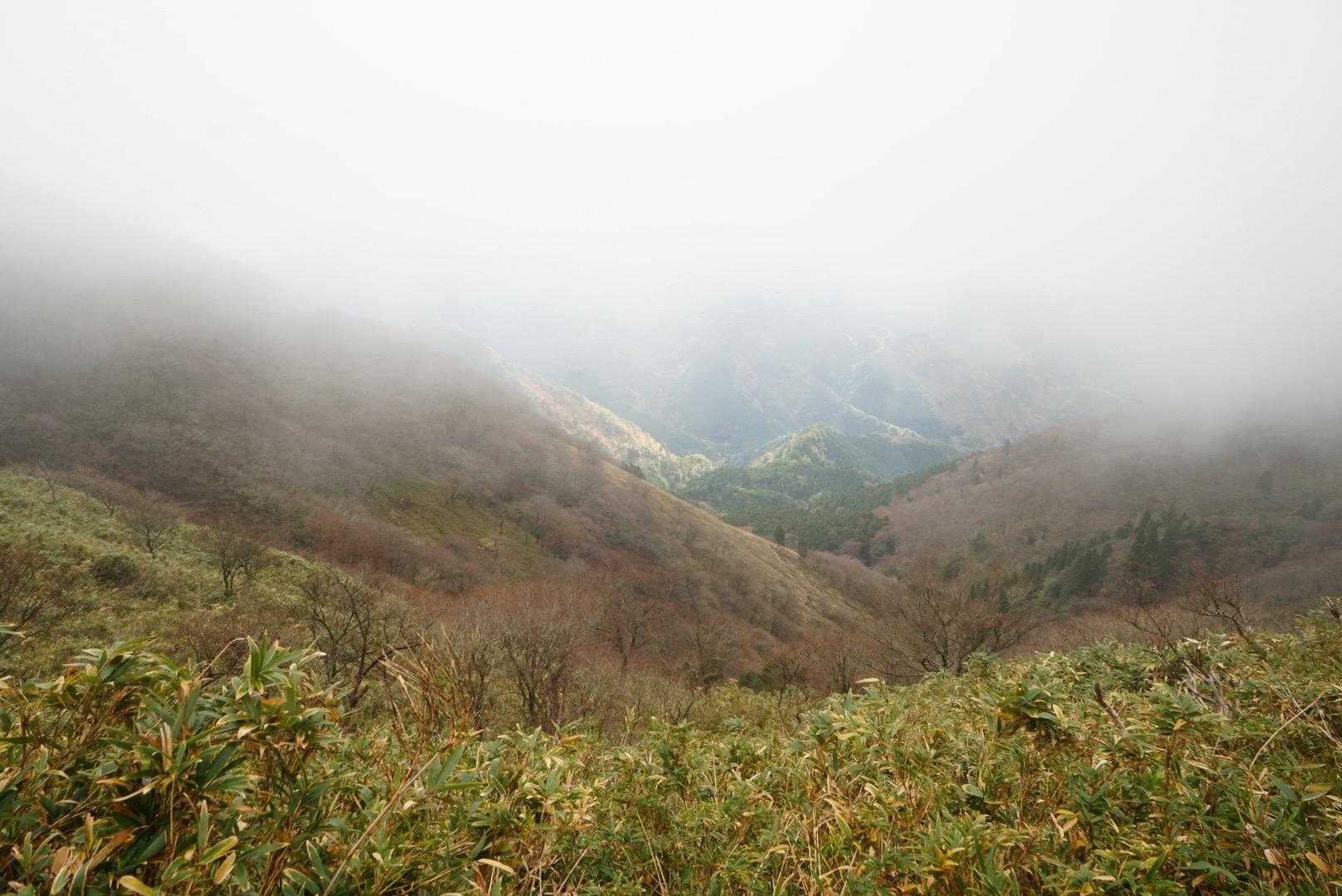 あっという間にガスが🌬️🌬️
下の方は晴れてるのかなぁ💦