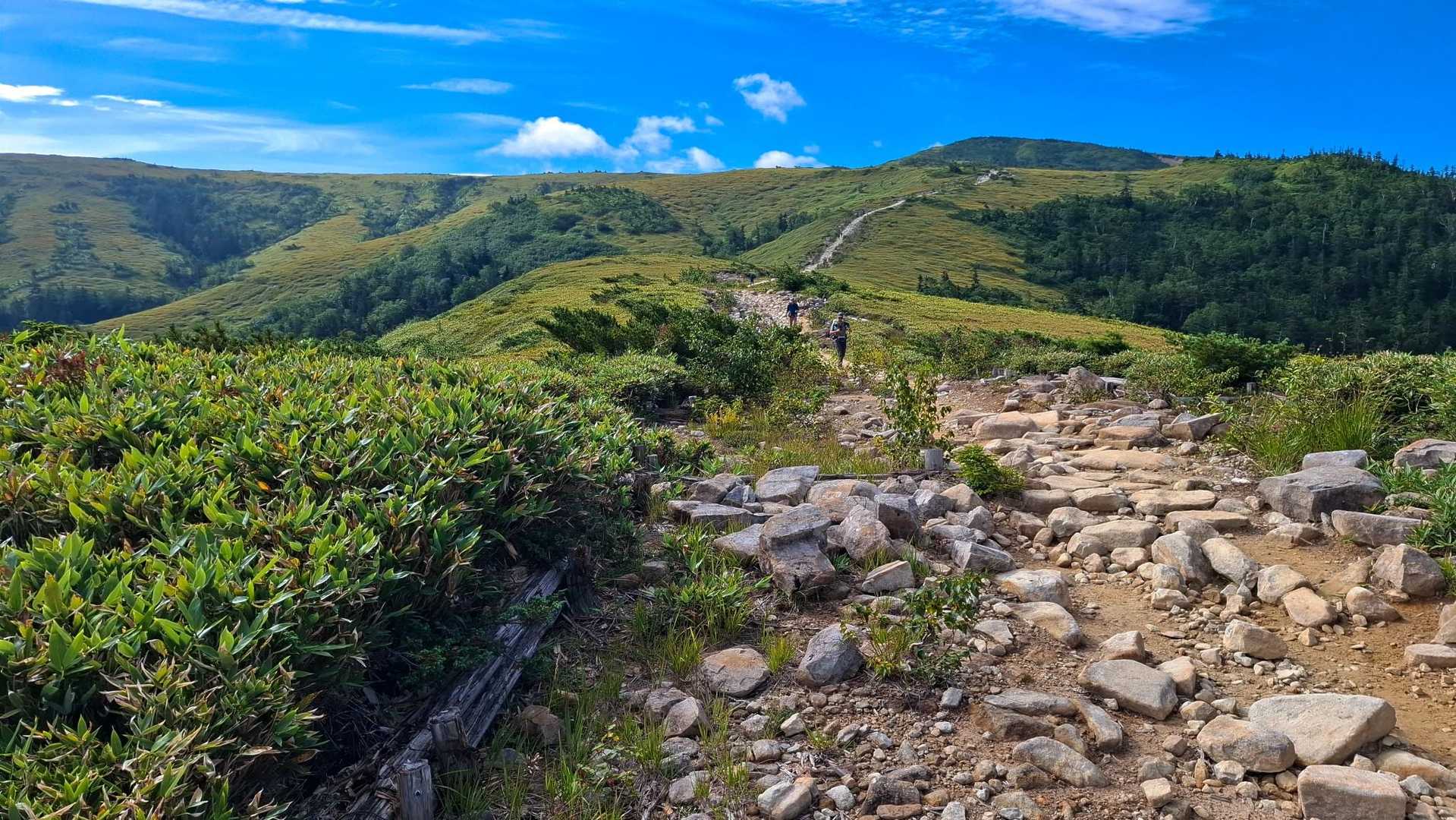 薬師岳登山口-五光岩ベンチ-太郎山-薬師峠 往復コースの写真