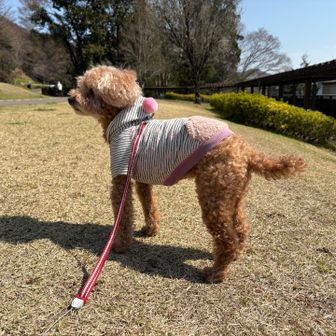 帰りは爆睡です💤
