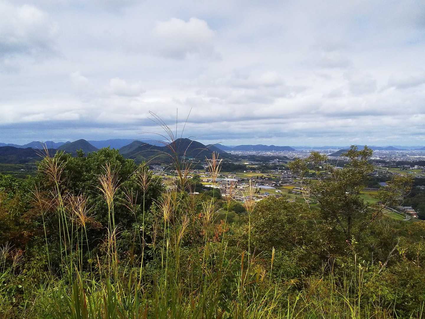 二子山登山口-善光寺山 往復コースの写真