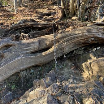 楽しくなってきた♬