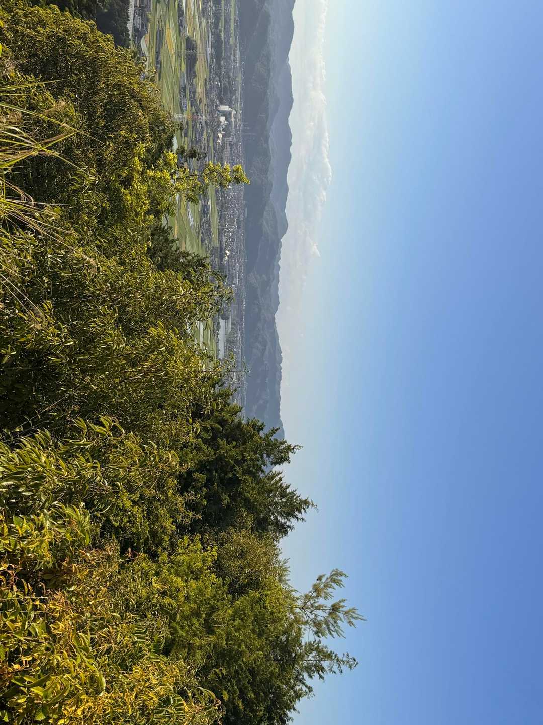 米田白山 周回コースの写真