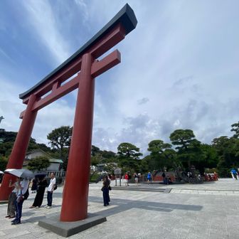 鶴岡八幡宮⛩️

暑い🫠
早く飲みたい…