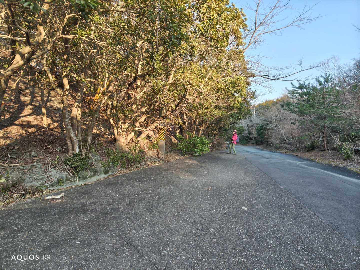 船津行者山 往復コースの写真