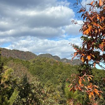 どれが納古山だろうか？
多分、真ん中の山です
