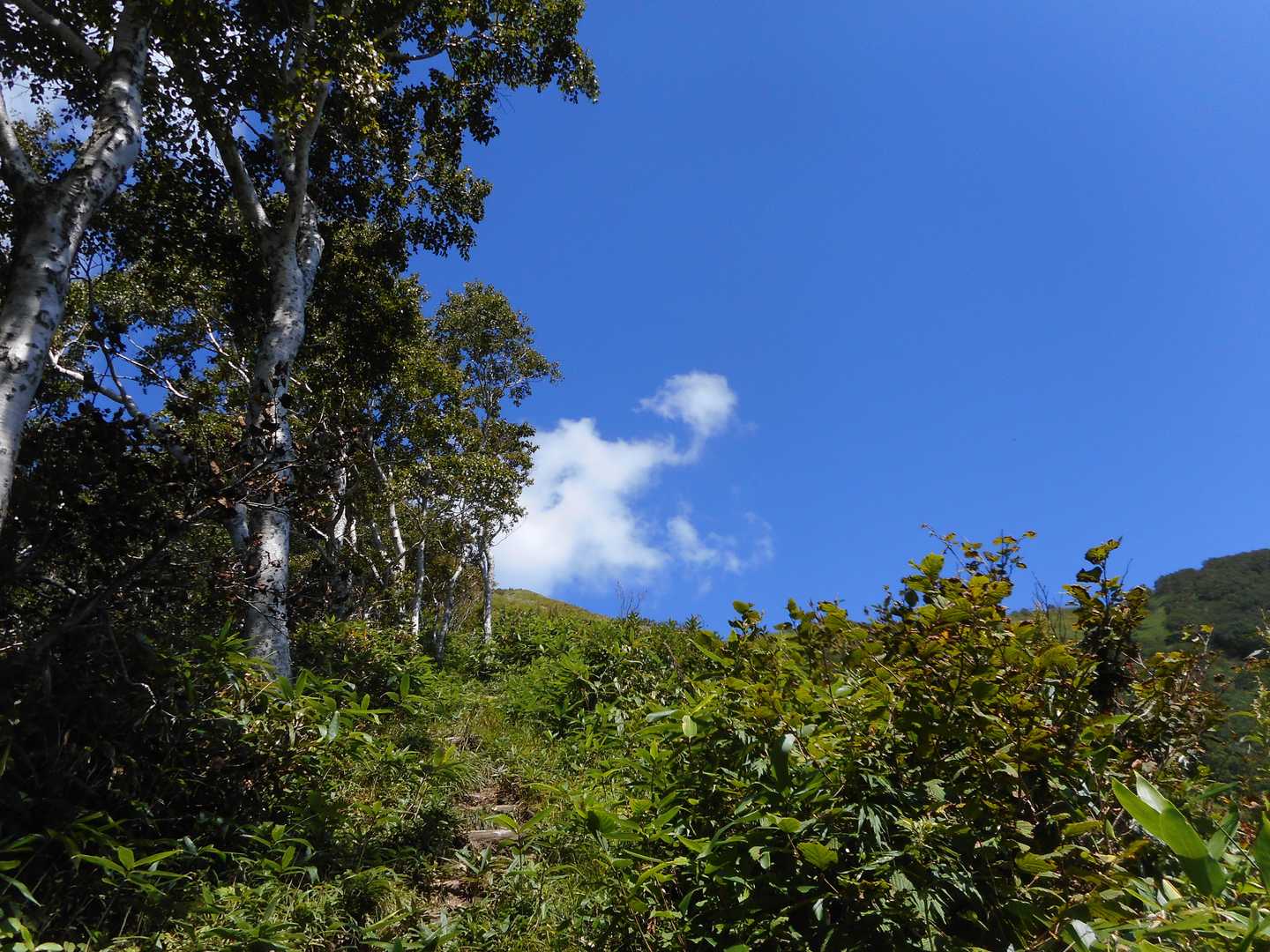 尻別岳登山道入口-尻別岳 往復コースの写真