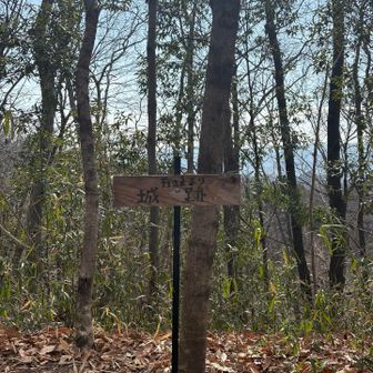 崇台山 天王寺城跡ここか？