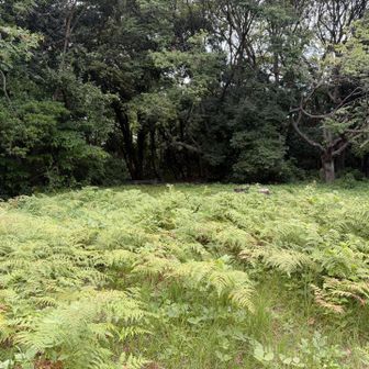 なんもねえ、なんもねえ