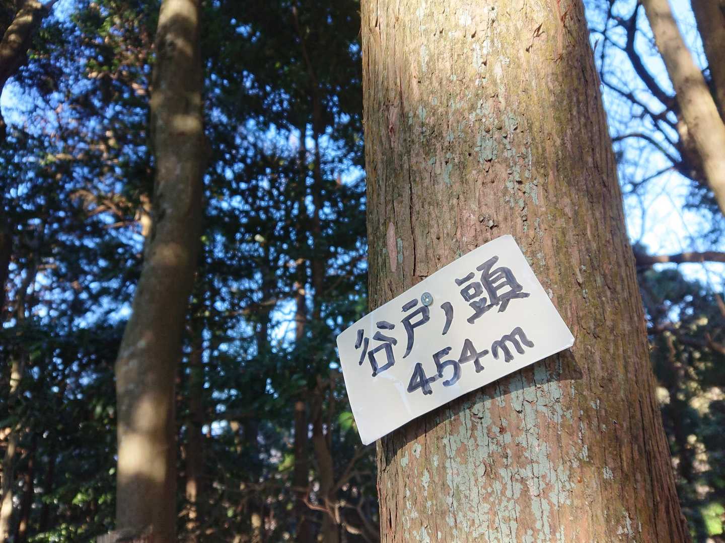 谷戸ノ頭