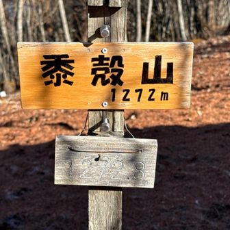 黍殻山登頂1272m