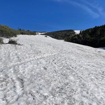 今なら残雪たっぷりの展望かトンビ岩とか思ってたんだが