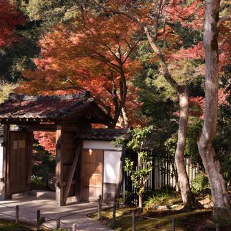 人も少なく、良い雰囲気のお寺さんでした。