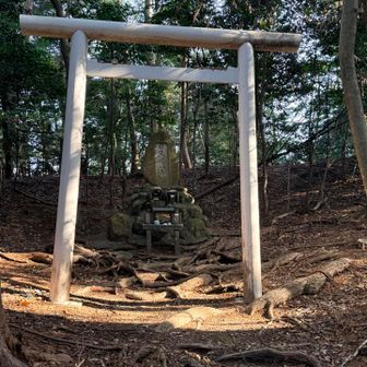 2度目も無事に到着