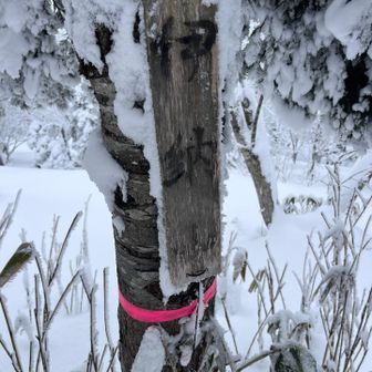 趣のある山頂看板