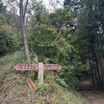 この道は学習の歩道というらしく
中学生くらいの男子学生達が走っていた🏃