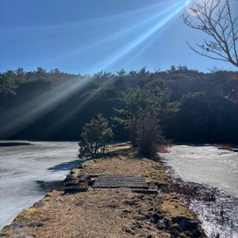 朝は寒かった🥶池も凍ってる