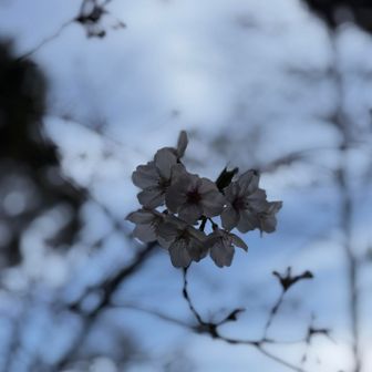 鋸山でのretryを全部無事に🆑　
足取りも軽く愛車に向かいます