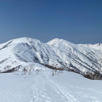 大荒沢岳と羽後朝日岳
登って下る✖️2回
戻ってくるから4回か笑