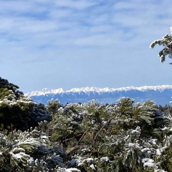 もう少し見た👀