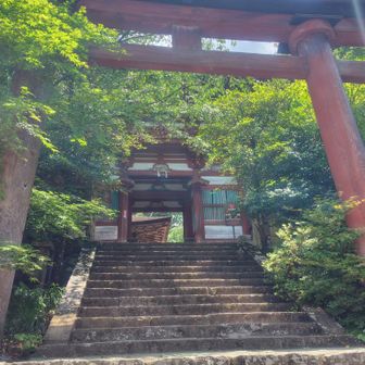 次は何処だろう？