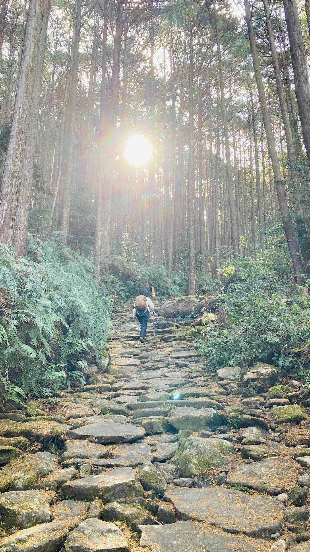 馬越峠登り口-馬越峠-天狗倉山 往復コースの写真