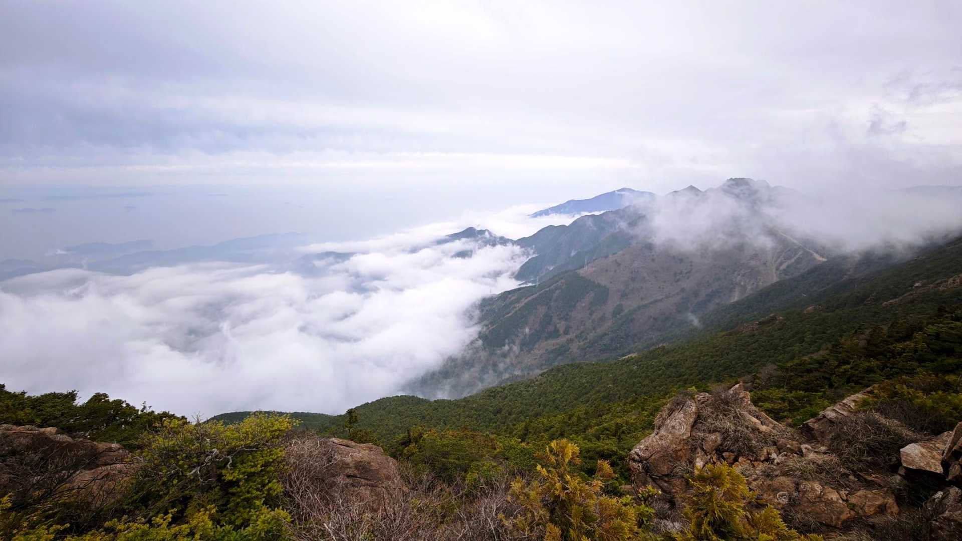 いい景色
