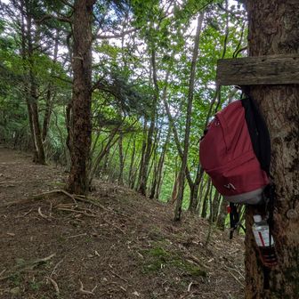特に何もない旗立山の頂上