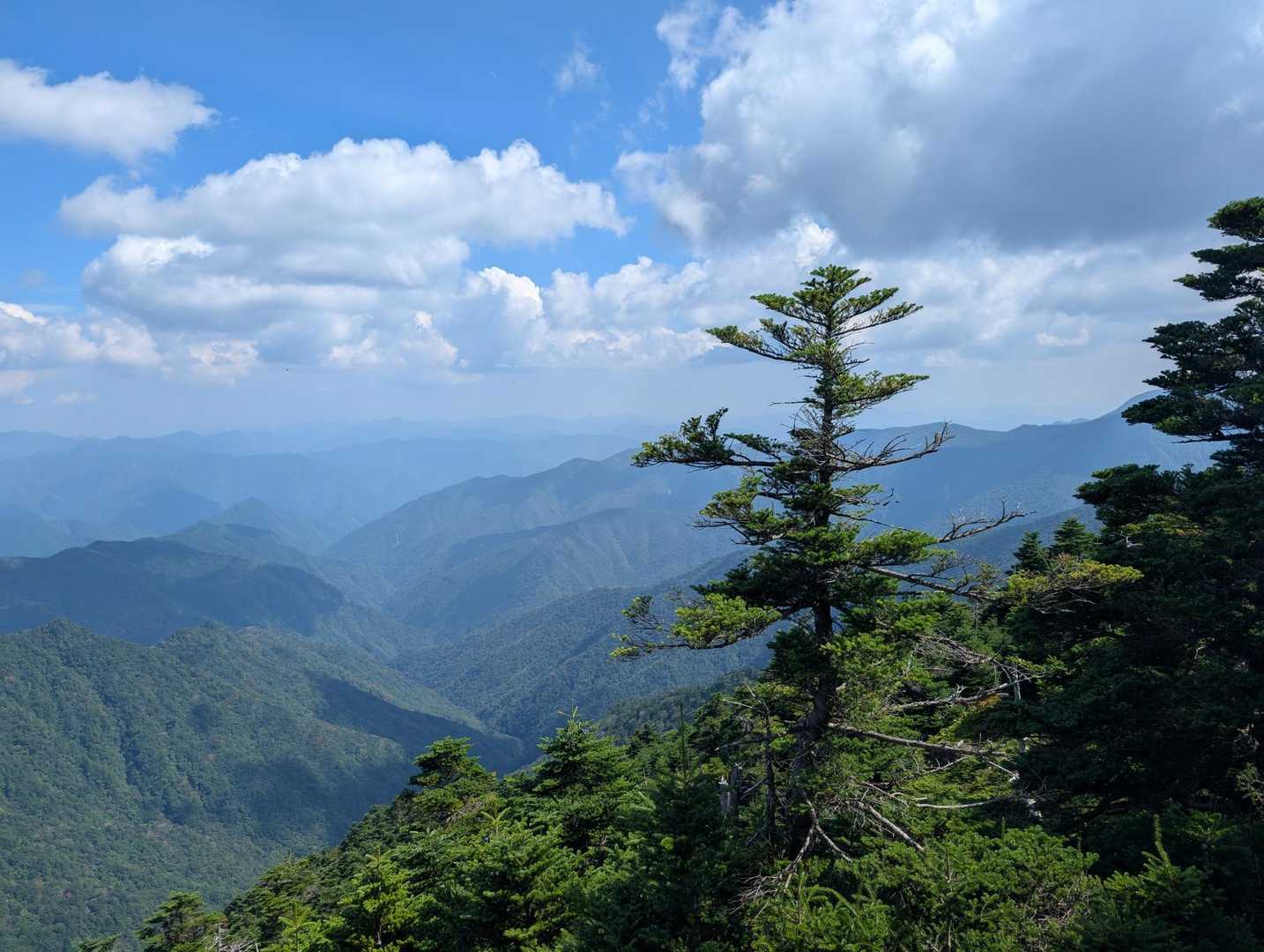 八経ヶ岳 | 近畿最高峰の絶景パノラマ。苔むす原生林を抜け大峰の峰々を望むの写真