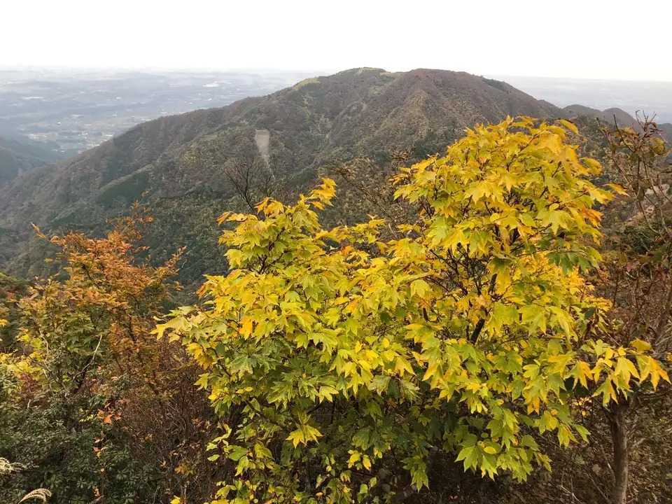 入道ヶ岳の写真