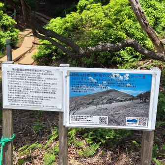 シロヤシオを守るため　立ち入り禁止のロープがあちこちに張られてました