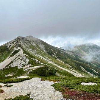 鉢ケ岳（左）と雪倉岳（右）✨