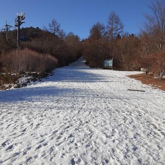 わくわくドキドキの入り口ですｗ