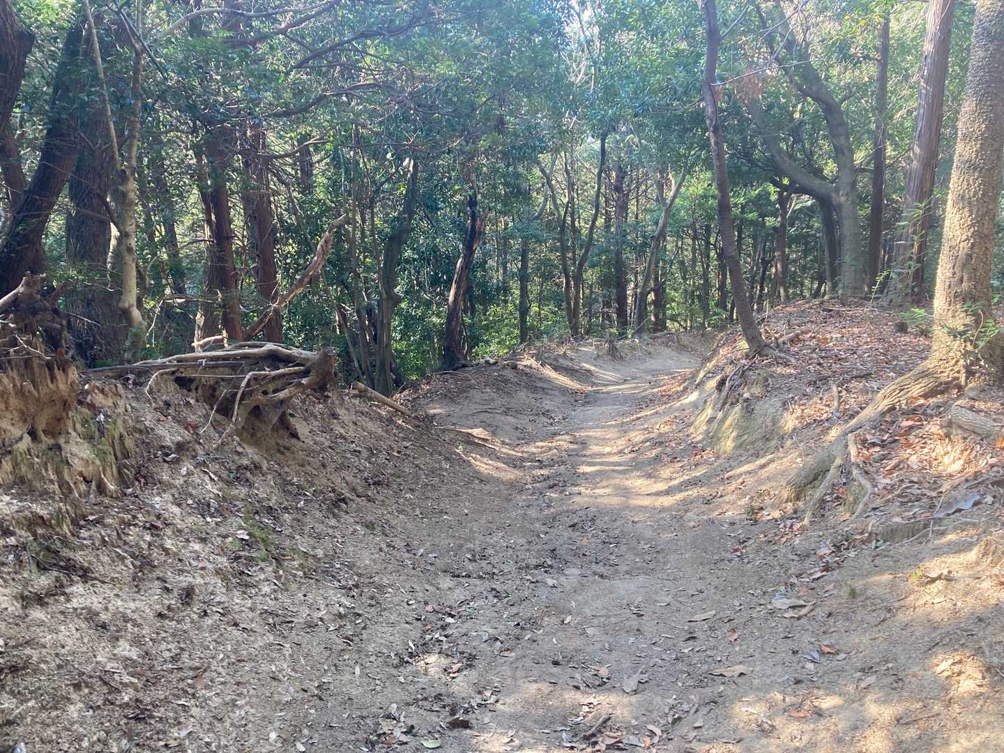 あとは道路を歩くけど、遊歩道もあります。YAMAPではルート外れ警告がピコンピコン鳴ります😂解除しましょう😆

今日は朝から宝満山からの大城山⛰
正月からいい登山で楽しめました。
お疲れ山でした⛰