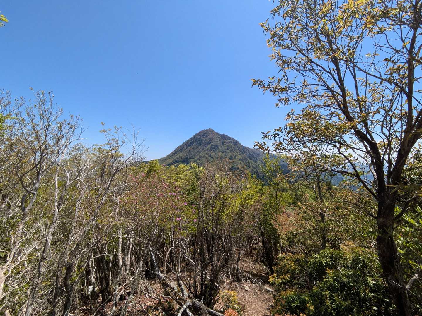 東光森山見えてきました