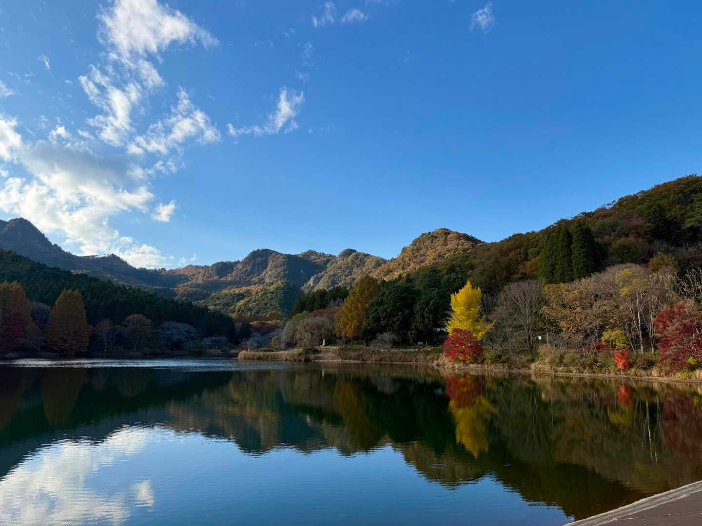 宇都宮市森林公園駐車場登山口-長倉山 往復コースの写真