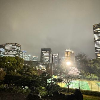 山頂からの景色🌃