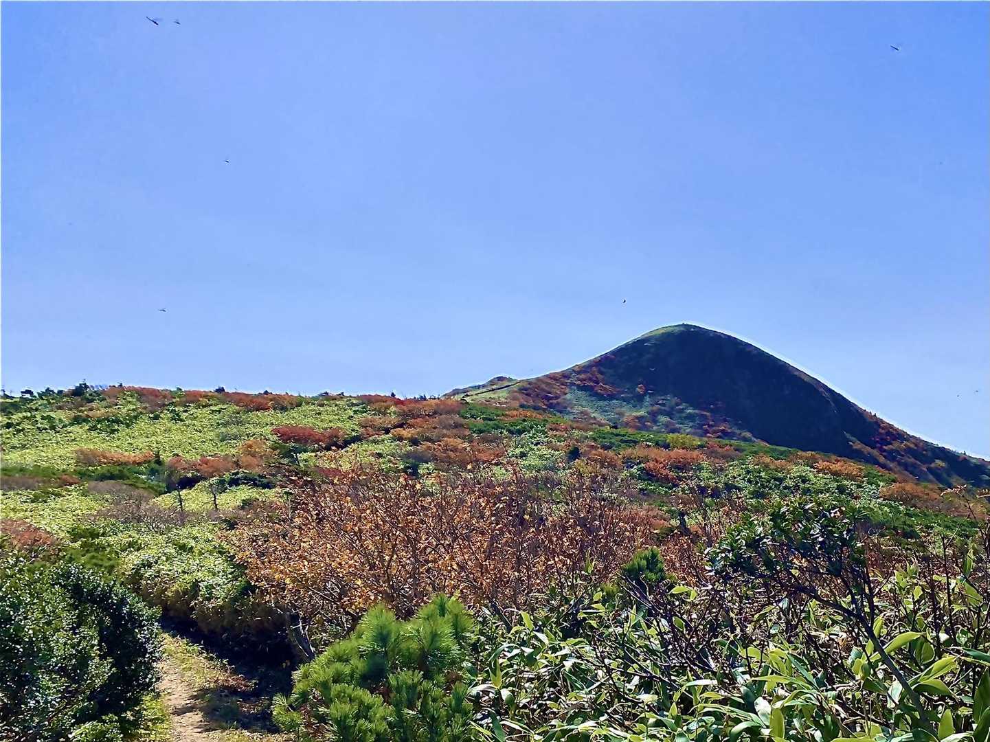 逆光で山が暗くなってしまう