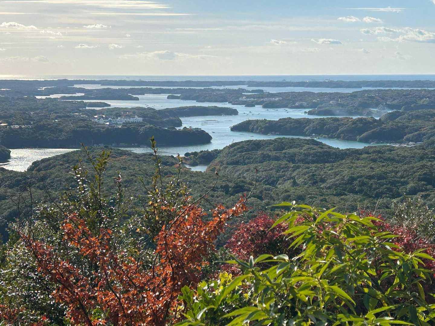 太平洋、英虞湾一望✨✨
地球の丸さが分かる🌏
