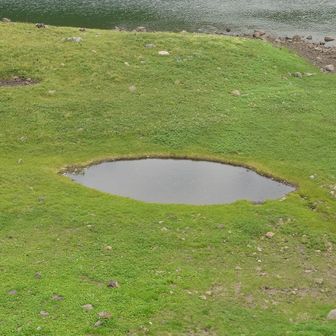 池塘
何にみえますか？
レモン？
どら焼き？
UFO？
片目？