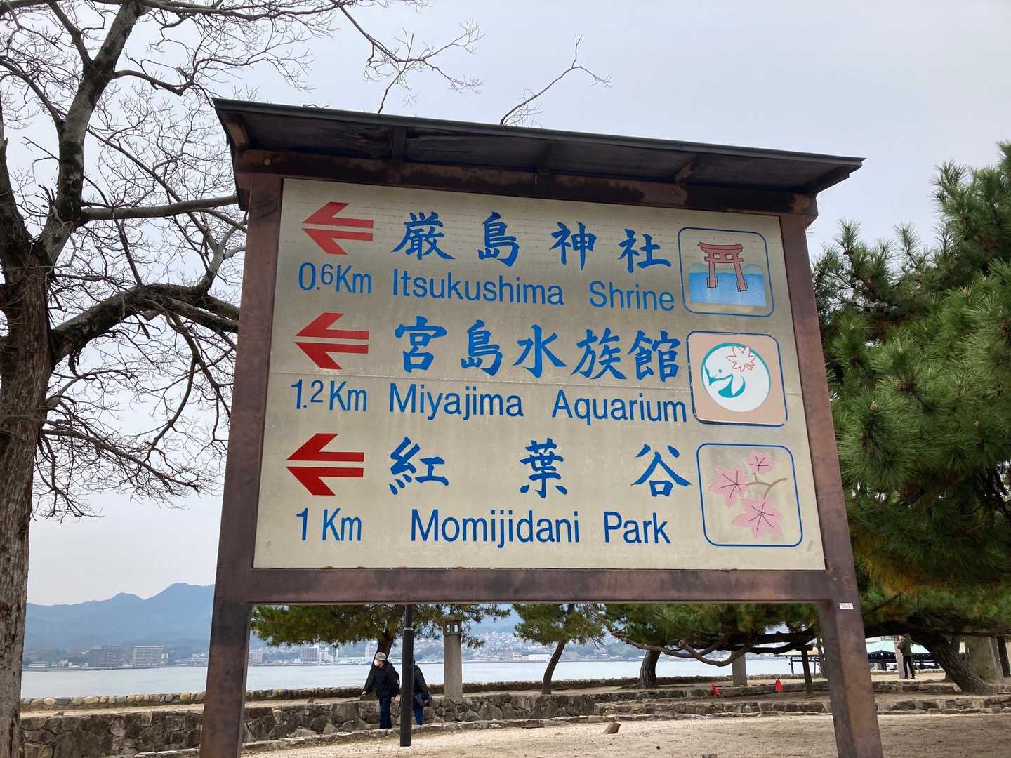 紅葉谷🍁目指しまーす
ここに来るまでに通過すると要害山⛰ピーク取れてました